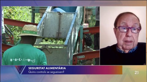 El Dr. Domingo parla sobre contaminants alimentaris en una entrevista a TVE2