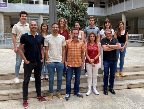 La calidad de los carbohidratos de la dieta desempeña un papel clave en la prevención de la demencia